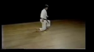 Ката Энпи - полёт ласточки