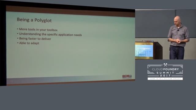 Effective Patterns and Practices for Polyglot Programming смотреть онлайн
