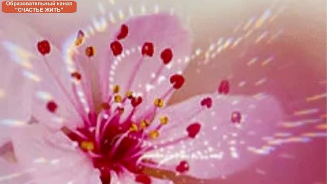 ВЫХОД ИЗ СТРЕССА. Медитативное упражнение смотреть онлайн