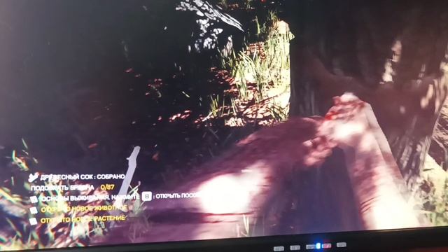 Прохождение The Forest (1) часть. Напал абориген! смотреть онлайн