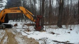 валочный экскаватор на базе Hyundai