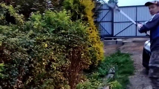 Утро без кофе//Любимая Голубика//Вечерняя стрижка кустов от профессионала смотреть онлайн
