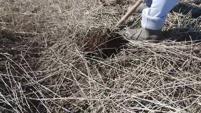 Металлоискатель MD6250/Второй коп