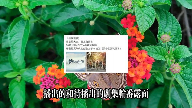 肖戰輪番“站崗”，《慶餘年2》真豁得出去，粉絲：根本忙不過來 смотреть онлайн