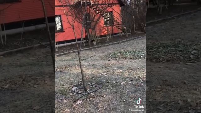 СВАТЫ. Как изменился дом семьи Будько спустя столько лет смотреть онлайн