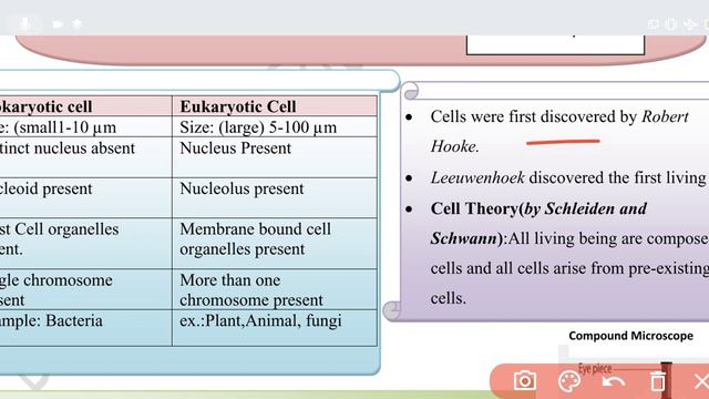 Class 9 Science Worksheet 18 | English Medium | 16 August 2021 | Science worksheet 18 class 9 смотреть онлайн