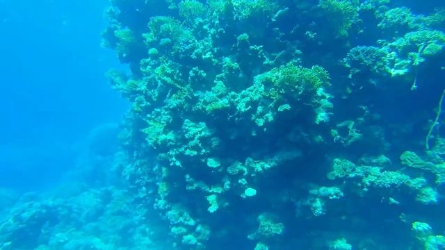 Погружения в красном море на пляже Шарм Эль Нага( Sharm el Naga) Хургада... смотреть онлайн