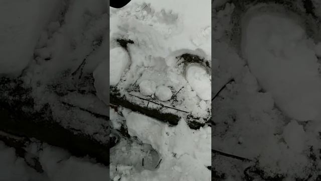 ПАМЯТНИК МУЖСКОЙ ОРГАН НЕАНДЕРТАЛЬЦА. смотреть онлайн