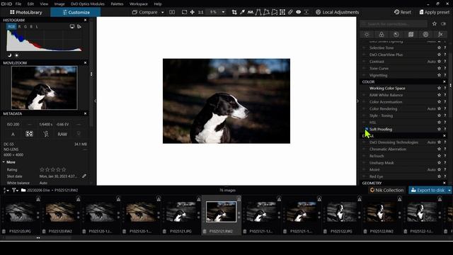 DxO Photolab 6 Tutorial - Importing And Organizing Photos + Best Settings In Preferences Tab Ep.410