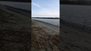 Рыбалка на дону, Голубинка