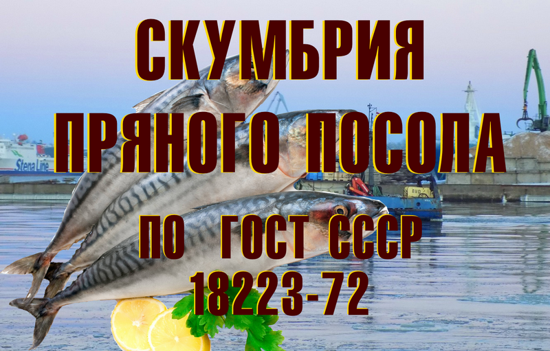 Северный Странник