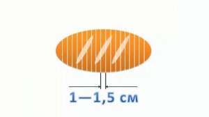 Видеоурок ''Технология приготовления бутербродов''   ТЕХНОЛОГИЯ   девочки   5 кл