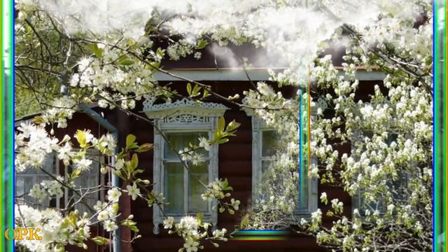 #НиколайСаллас# Николай Саллас Домик окнами в сад Кавер под гитару смотреть онлайн