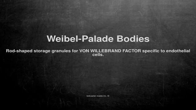 Medical vocabulary: What does Weibel-Palade Bodies mean смотреть онлайн