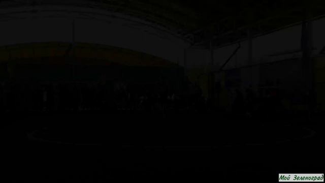 Показательное выступление художественных гимнасток СШ № 112 «Спутник»