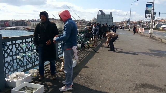 Рыбалка в ТУРЦИИ. Стамбул 2020.  Необычная подставка под удочку. Fishing In TURKEY.