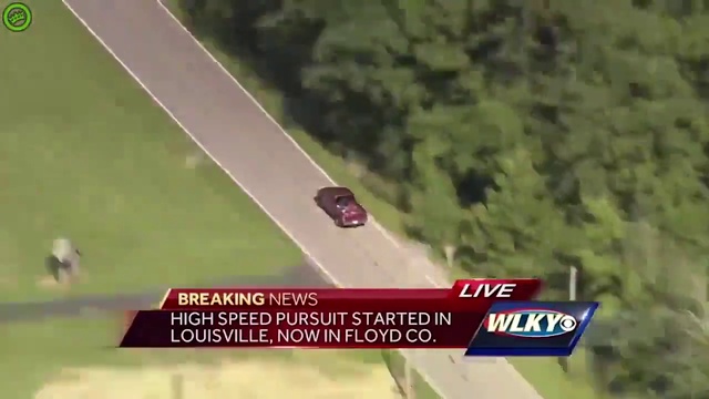 Погоня смотреть онлайн