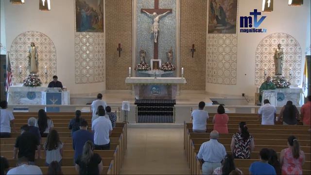 Santa Misa. Domingo XVI del Tiempo Ordinario 7/19/2020 P. Eder, FM смотреть онлайн