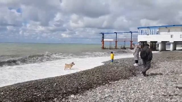 Шарик и море?ЛАЗАРЕВСКОЕ СЕГОДНЯ?СОЧИ. смотреть онлайн