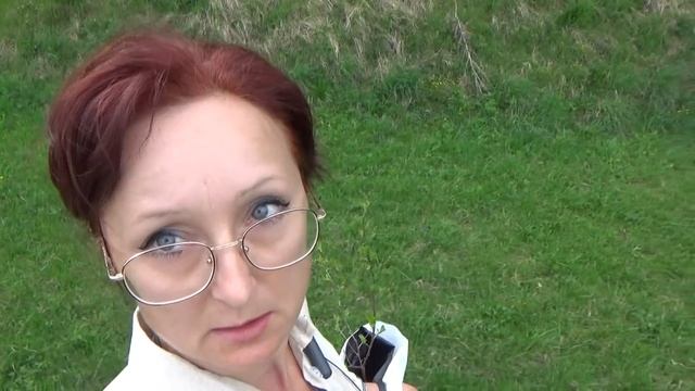 6 соток 12 мая. Про кошение травы электрическим триммером или...прогулка в питомник... смотреть онлайн