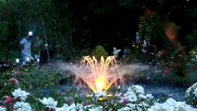 Розы и Вода 010 смотреть онлайн