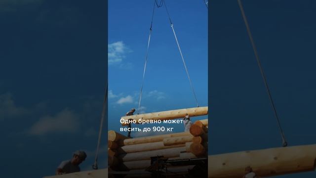 Работа башенного крана завораживает. Согласны? #срубы #домизбруса смотреть онлайн