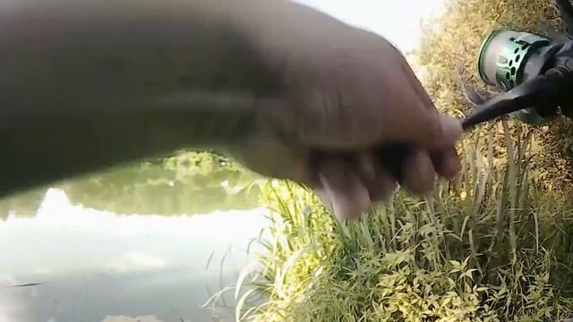 Велопробег до речки Востец. смотреть онлайн