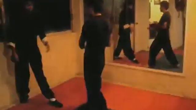 Ving Tsun Tong Ermita Tlalpan - Ho Hok Pai Kung Fu смотреть онлайн