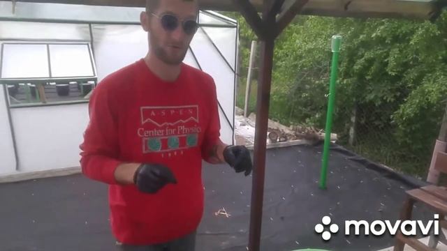 Лучший рецепт Кокосового субстрата | Всхожесть рассады в 5 раз больше смотреть онлайн