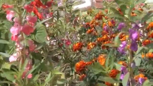 В Альметьевске выбирают лучший двор смотреть онлайн