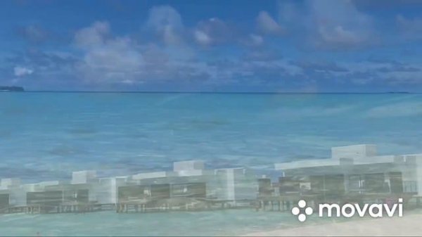 Краткий обзор отдыха в RIU Atoll Maldives. #vacation #riuatollmaldives