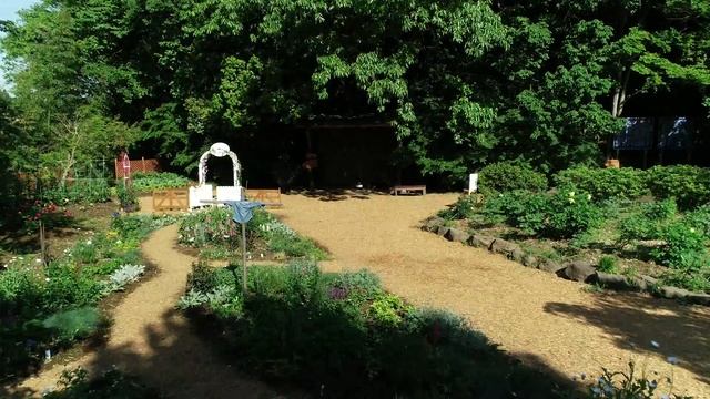 Shakuyaku Fly Over - Peony Garden Tokyo смотреть онлайн