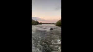 БЕГЕМОТ УСТРОИЛ ПОГОНЮ ЗА ЛОДКОЙ С ТУРИСТАМИ