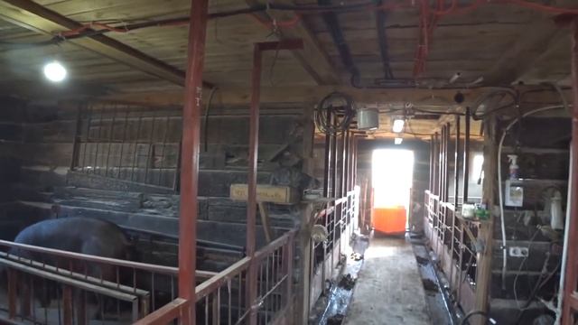 Заливаем бетонный пол в новом амбаре