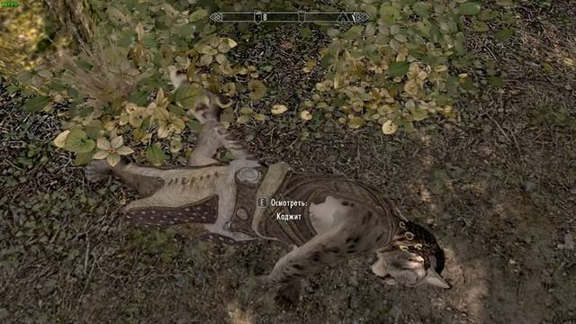 Баг с хвостом мёртвого каджита смотреть онлайн