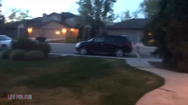 Смешные видео о детях и животных ● приколы с котами и собаками _ Funny Baby Playing With Cats.mp4 смотреть онлайн