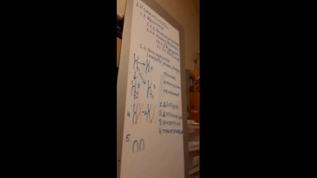Изменчивость смотреть онлайн