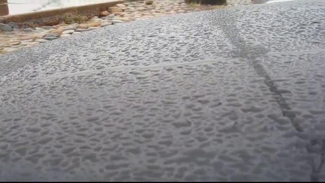 Падают желтые листья