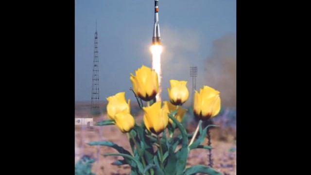 Городские цветы Байконура смотреть онлайн