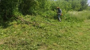 ?Бензокоса триммер Alpina метёт траву 10lvl /Brushcutter Benzokosa trimmer Alpina sweeps trash 10lv