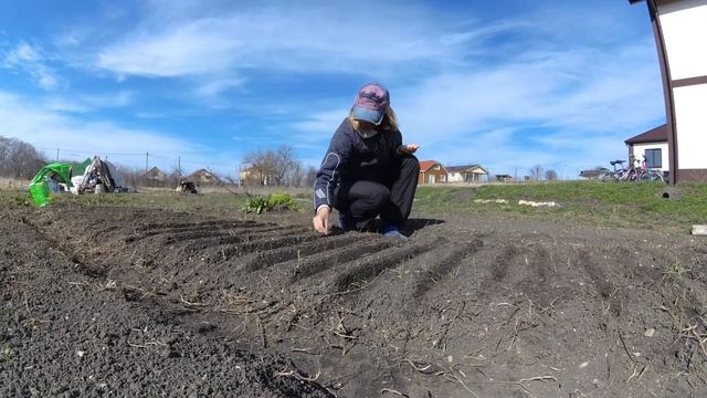 Первые посадки в открытый грунт в марте смотреть онлайн