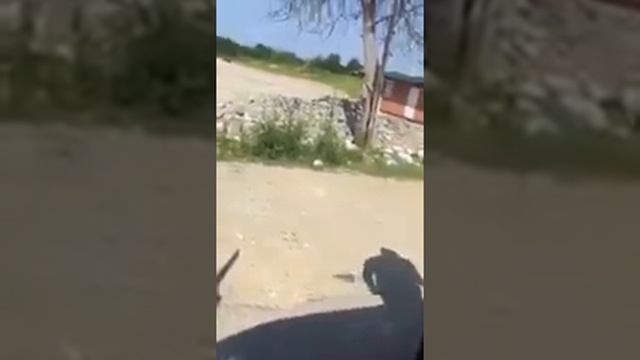 Абхазия Отдых Туризм, менты )) Это настоящий Сомали ))) смотреть онлайн