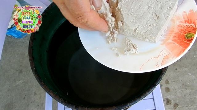 ВОТ ТАК ОКАЗЫВАЮ СРОЧНУЮ ПОМОЩЬ РАСТЕНИЯМ САДА И ОГОРОДА ПОСЛЕ УРАГАНА смотреть онлайн