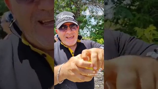 почему абрикос армянский ?! prunus armeniaca - научное название абрикоса ( армянская слива ) смотреть онлайн