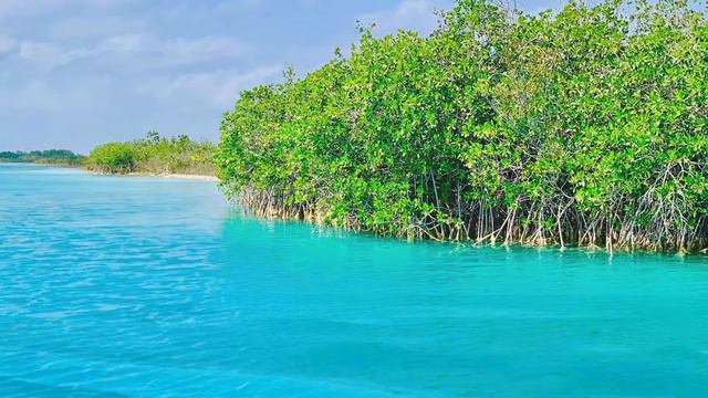 Bacalar Mexico aerial views. BEAUTIFUL BLUE WATER Don’t go to Maldives or Fiji!! As nice. смотреть онлайн