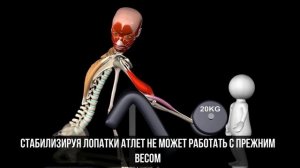 КАК ПРАВИЛЬНО КАЧАТЬ БИЦЕПС/ СГИБАНИЕ ОДНОЙ РУКИ НА СКАМЬЕ СКОТТА