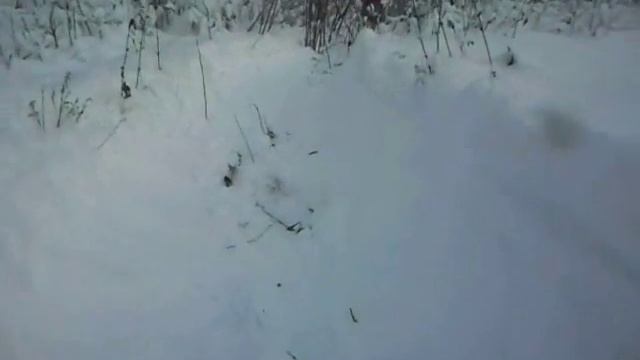 Мухтар ИРБИС 6 New смотреть онлайн