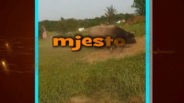 - ZECO SALIHA BAJRICA SPREMAN ZA VELIKOG RIVALA смотреть онлайн