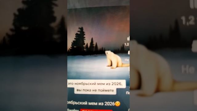 Разбор айсберга по белому медведю 2026 (часть 1)