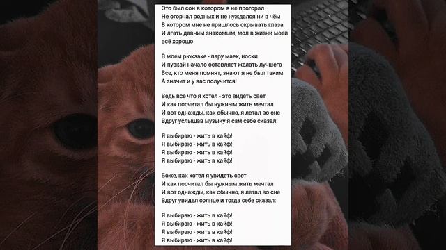 Жить в кайф – Макс Корж, текст и speed up. смотреть онлайн